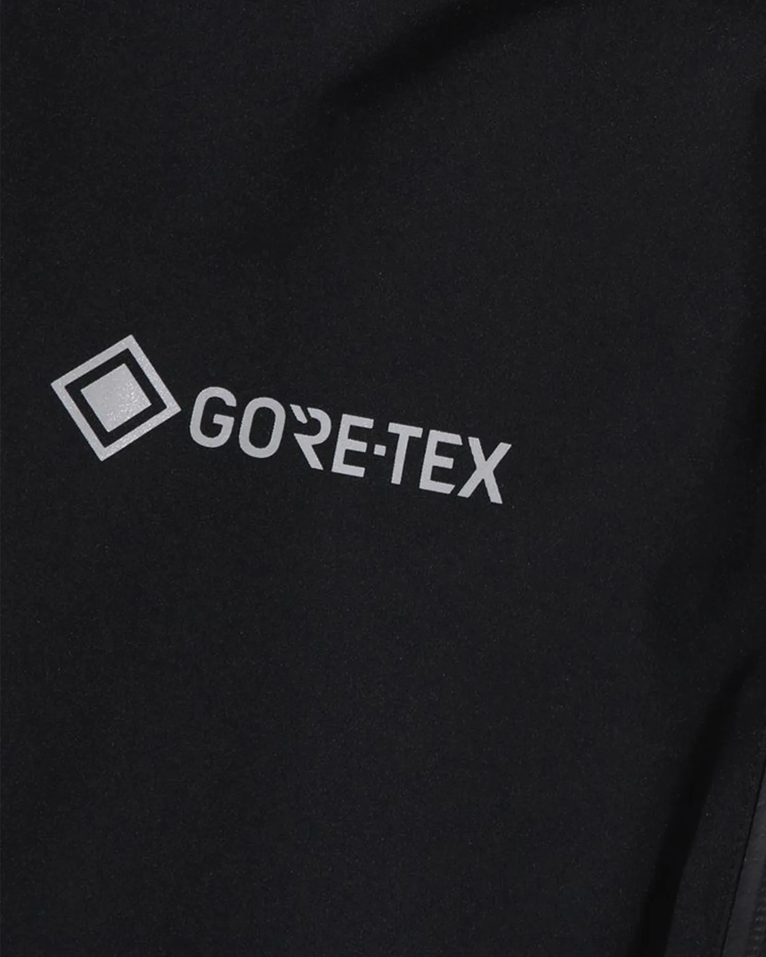 Gore-Tex Down Jacket