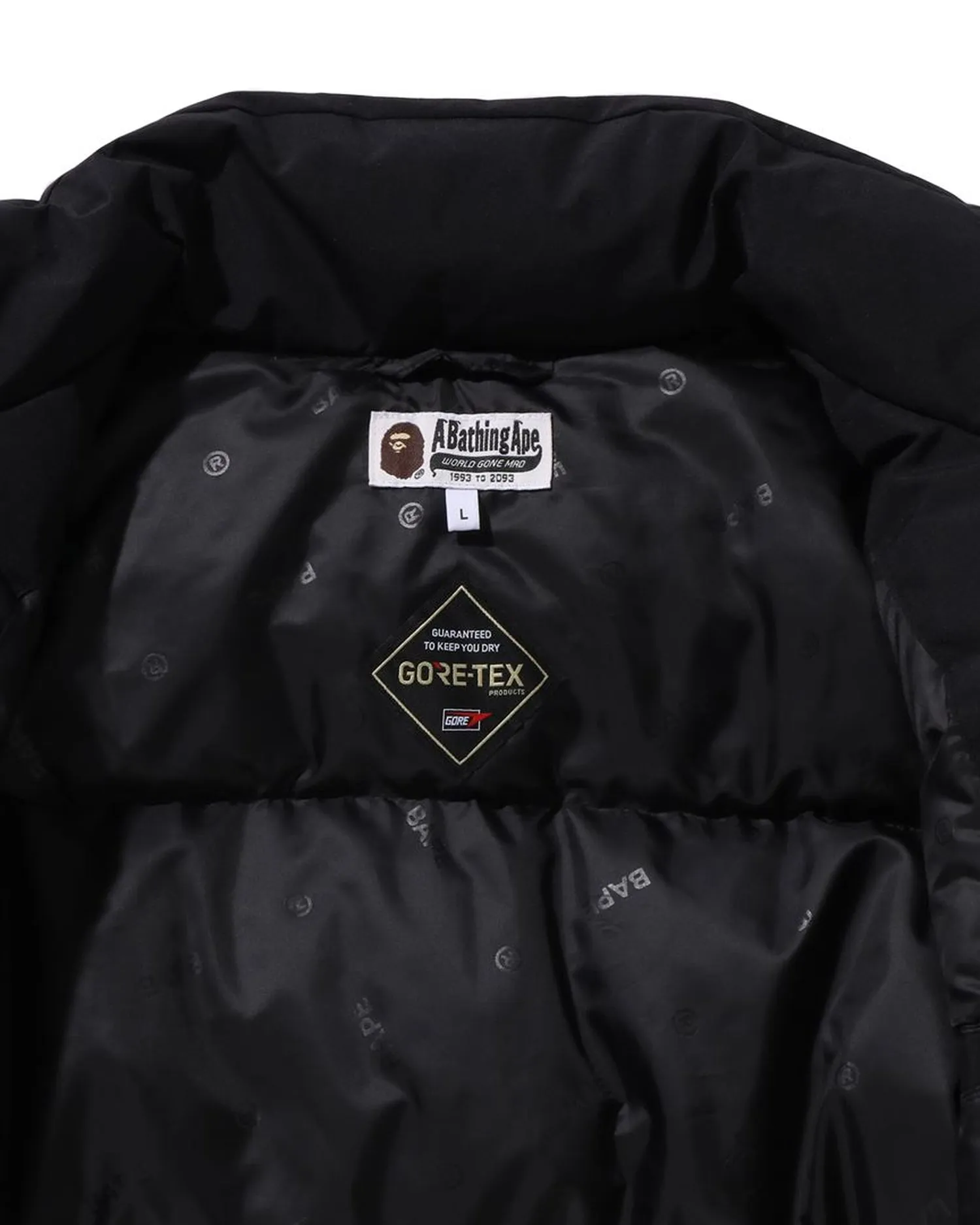 Gore-Tex Down Jacket