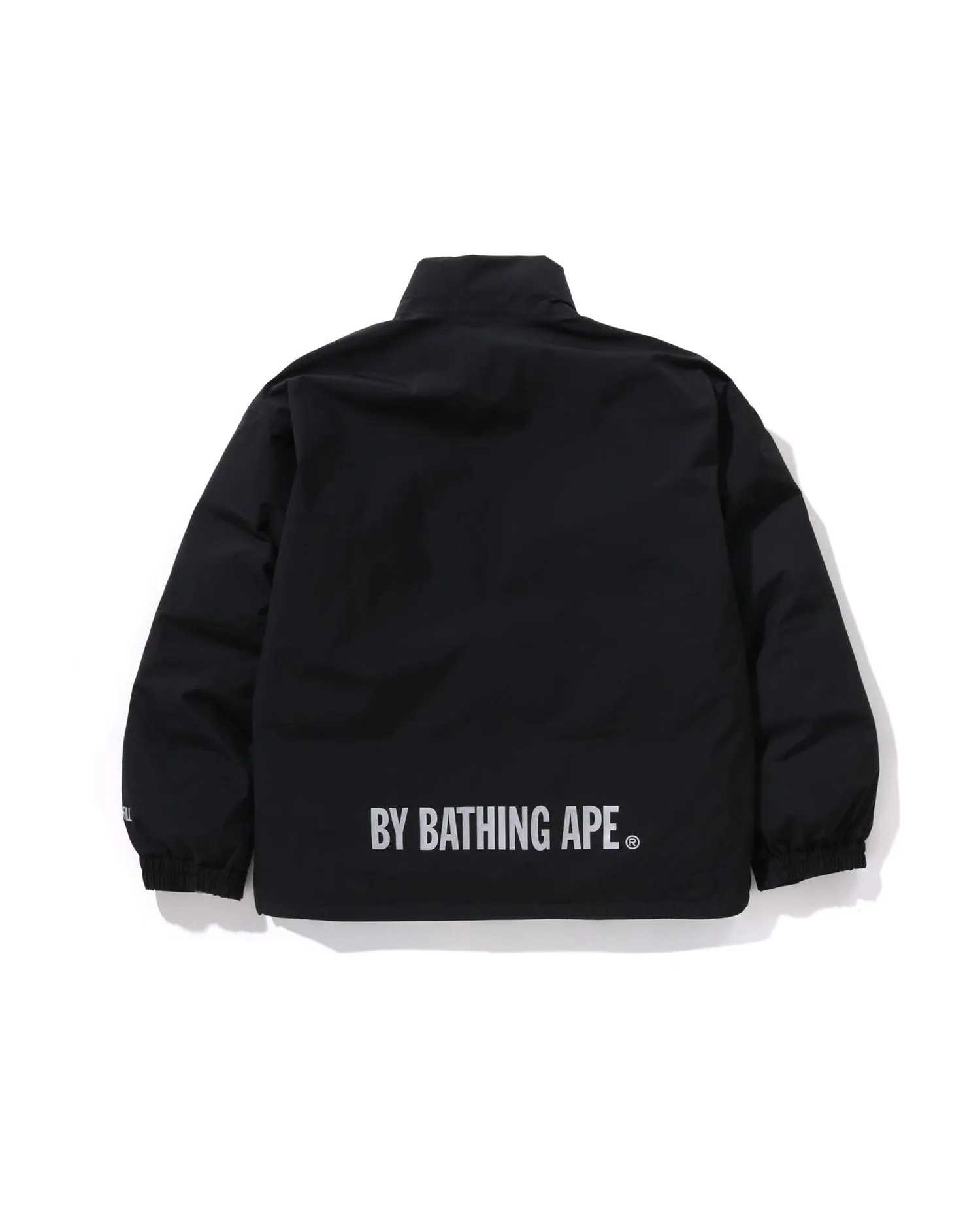 Gore-Tex Down Jacket