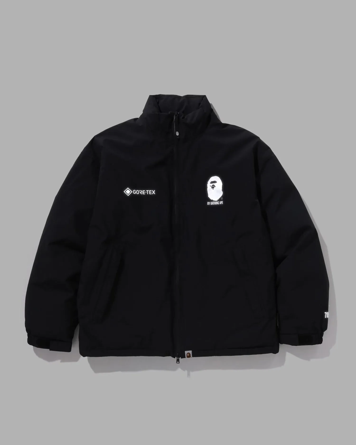 Gore-Tex Down Jacket