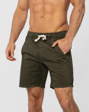 Hudson Khaki Shorts
