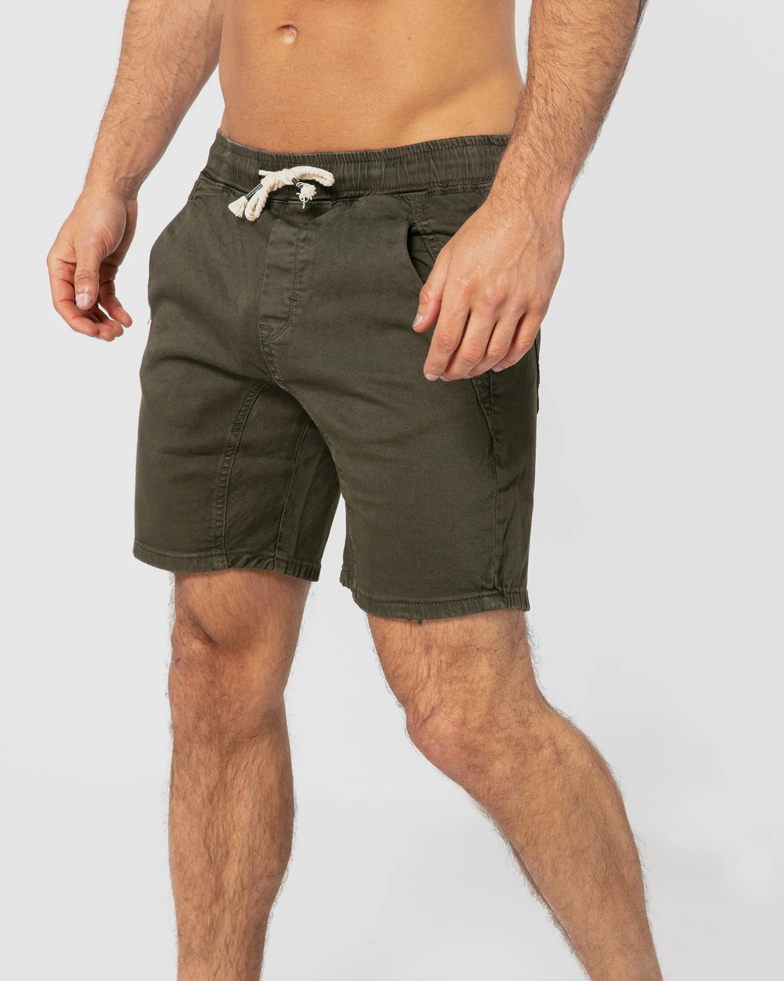 Hudson Khaki Shorts