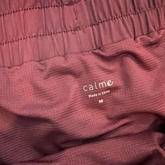 Johnny Was Calme Elements Drawstring Waist Shorts Inner Brief and Pocket…