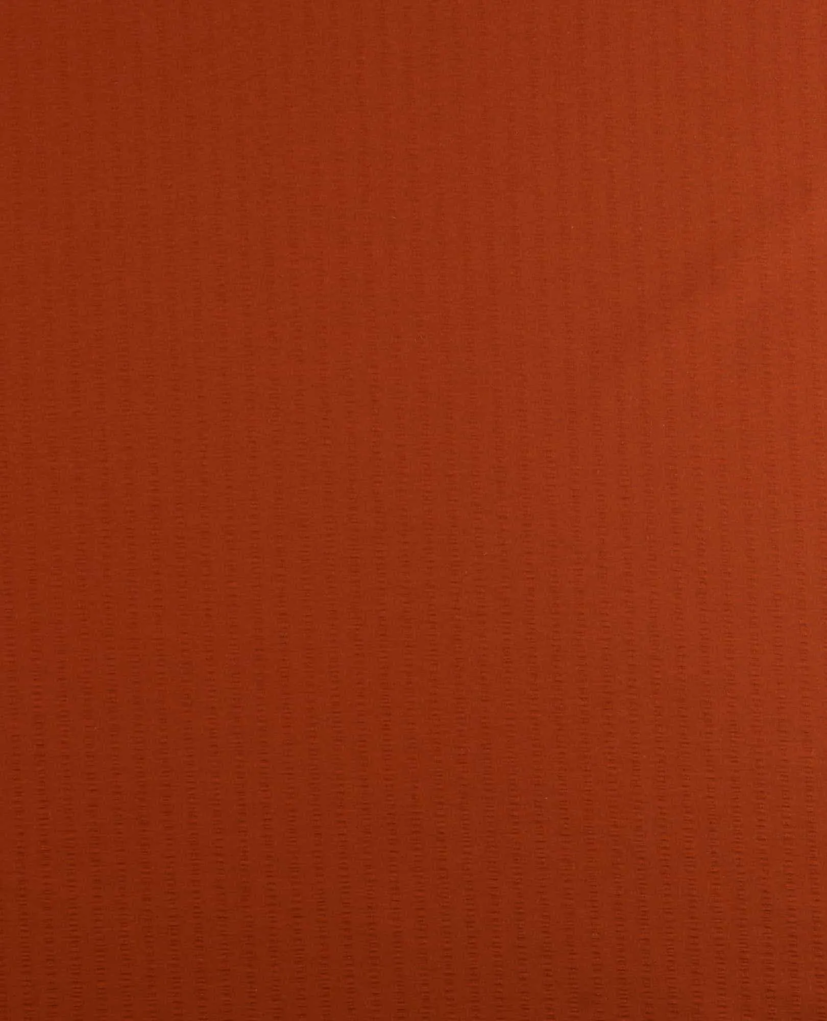 Sunkissed Pull-On Short II