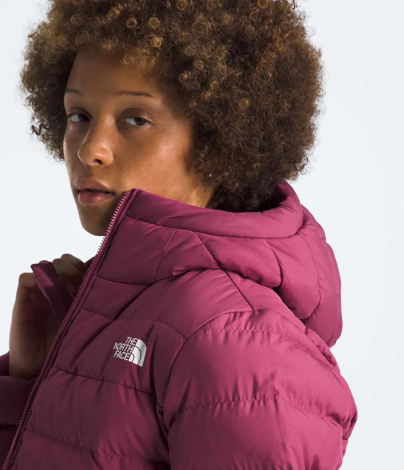 The North Face Aconcagua 3 Hoody (Womens)